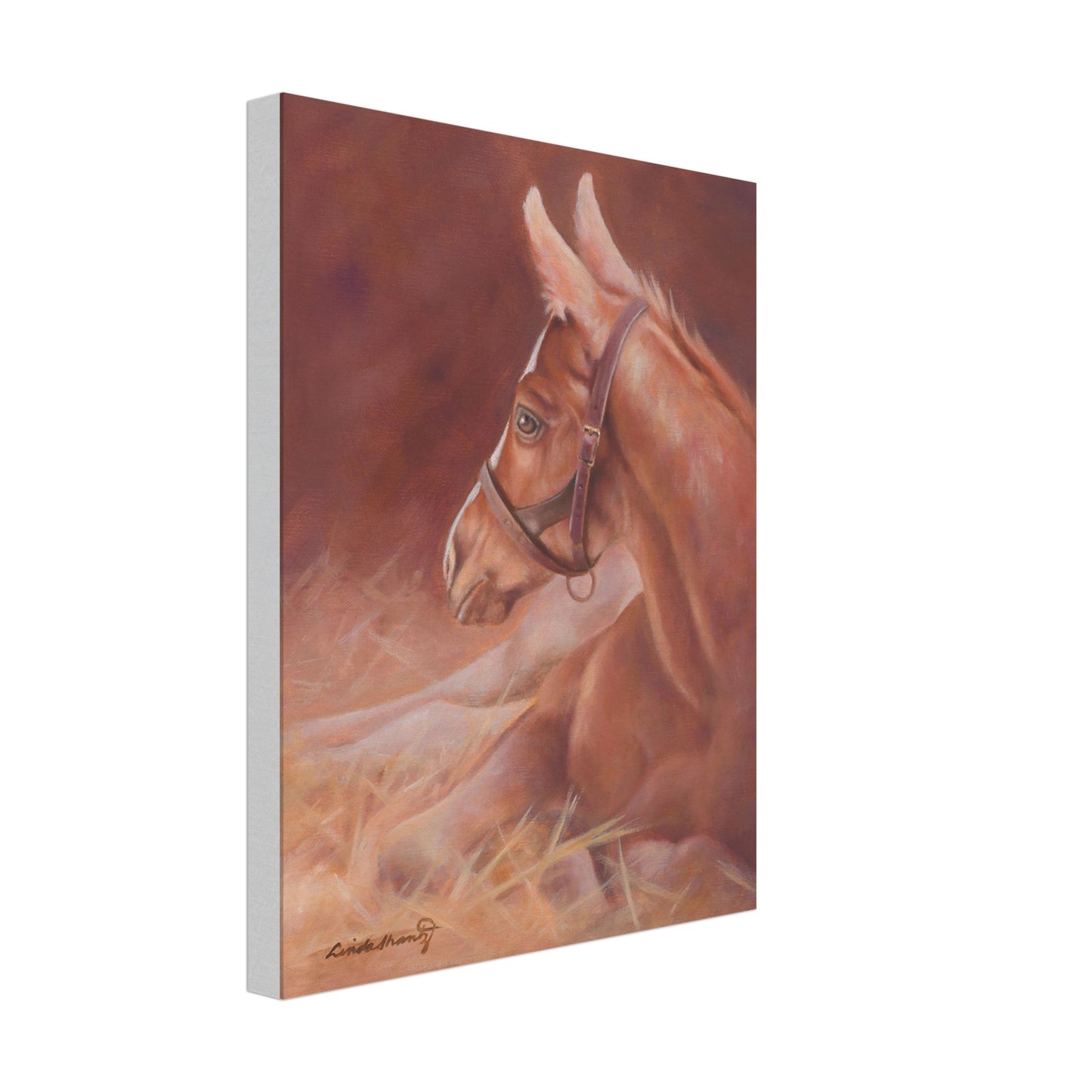 00ce85da-adae-4f06-a052-4669bbdd25fa