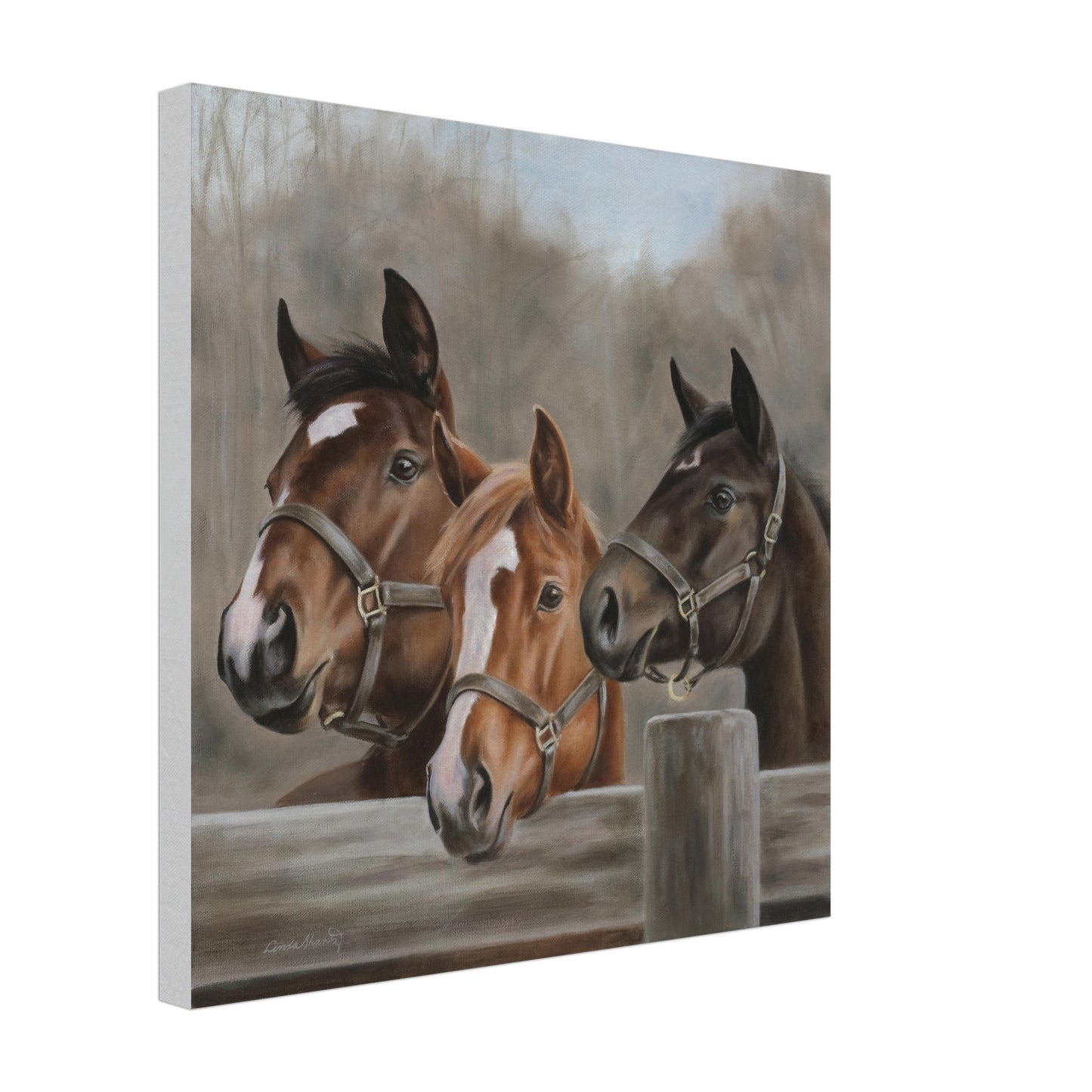 3a5ee226-33e3-41fc-b9fe-b381a2b9e803