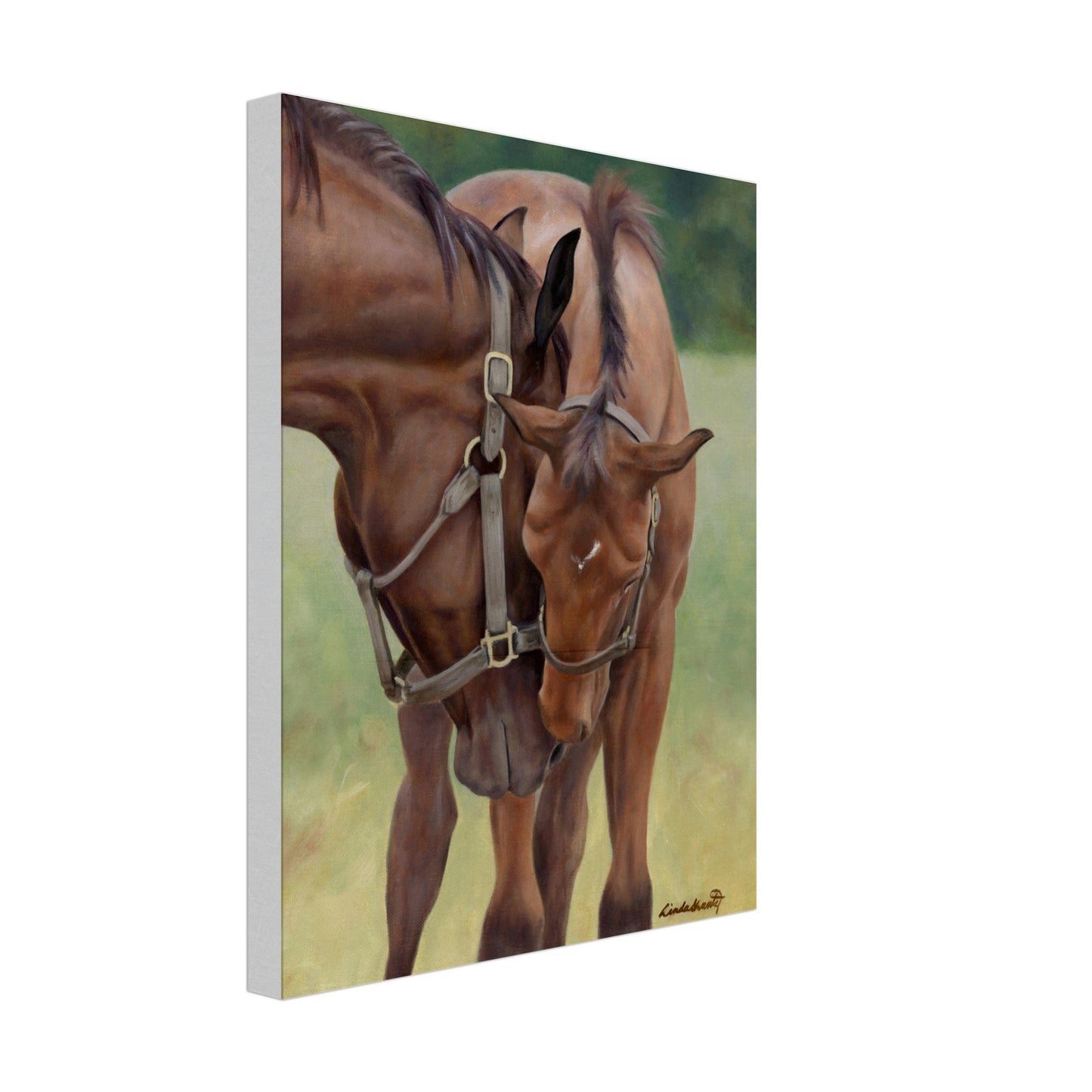 851321d7-7c85-4561-8e2d-66b0902837fa