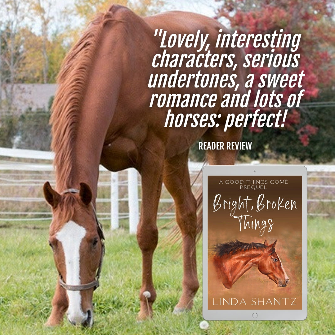 Bright, Broken Things (A Good Things Come Prequel) – e-book