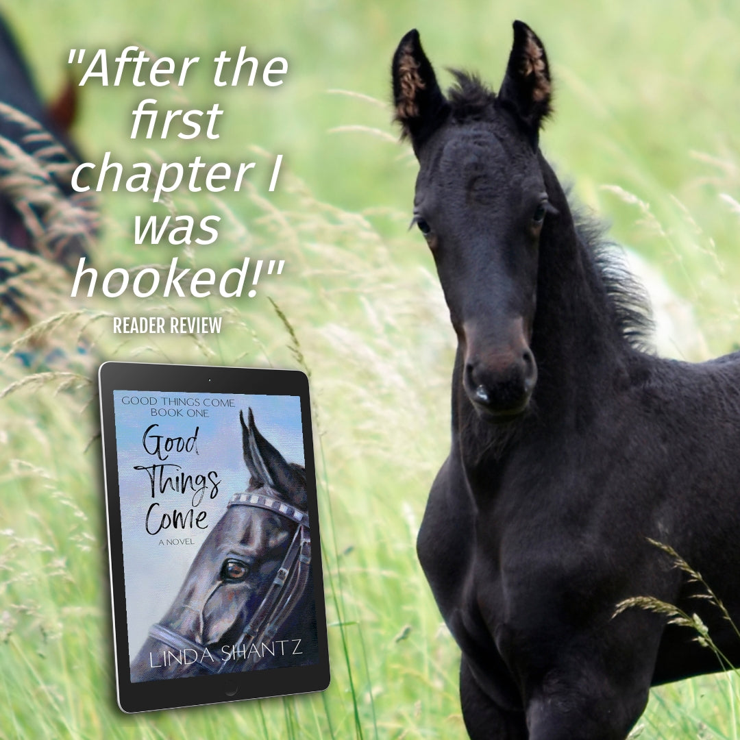 Good Things Come (Good Things Come Book 1) - e-book