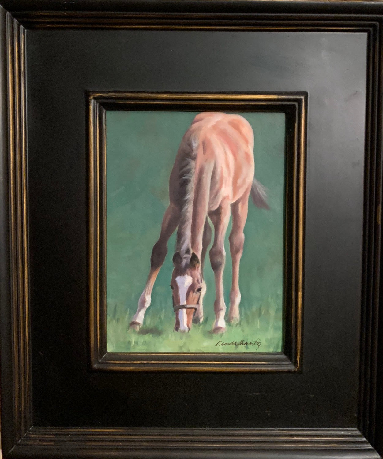 “Hugo, Grazing” 8 x 6 oil on linen, framed.