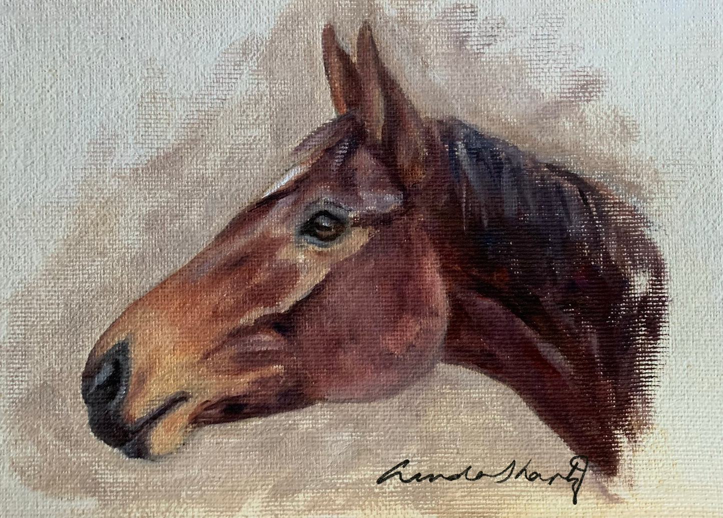 Thoroughbred mare head study 5 x 7 oil on canvas sketch