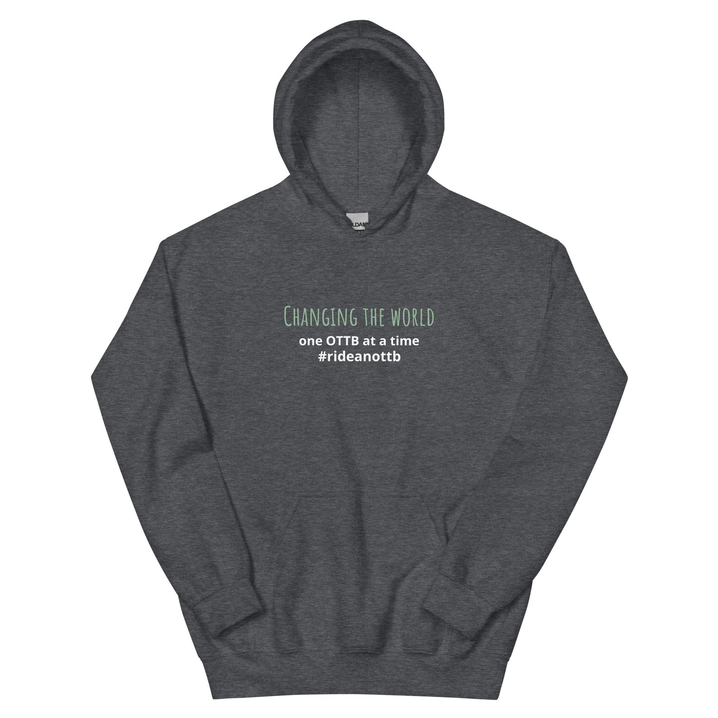 "Changing The World One OTTB at a Time" Unisex Hoodie