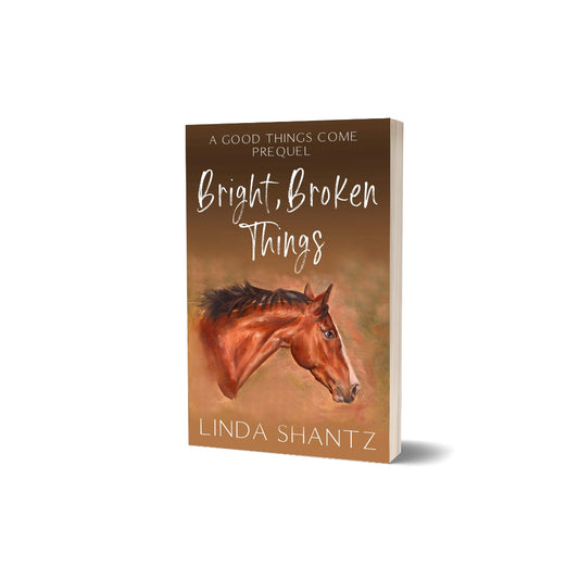 Bright, Broken Things (A Good Things Come Prequel) – paperback