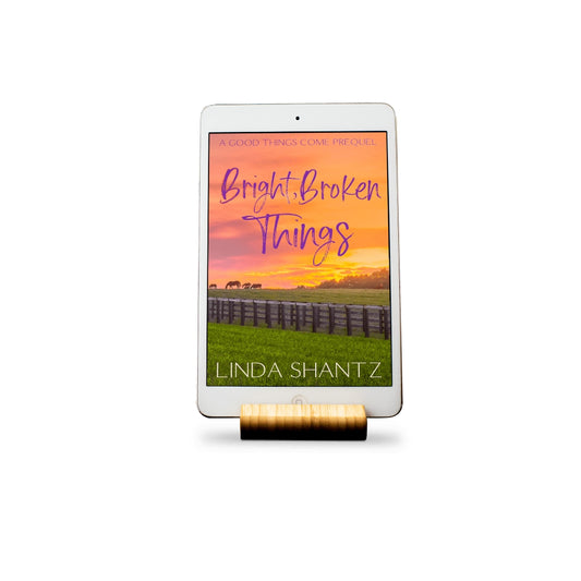 Bright, Broken Things (A Good Things Come Prequel) – e-book