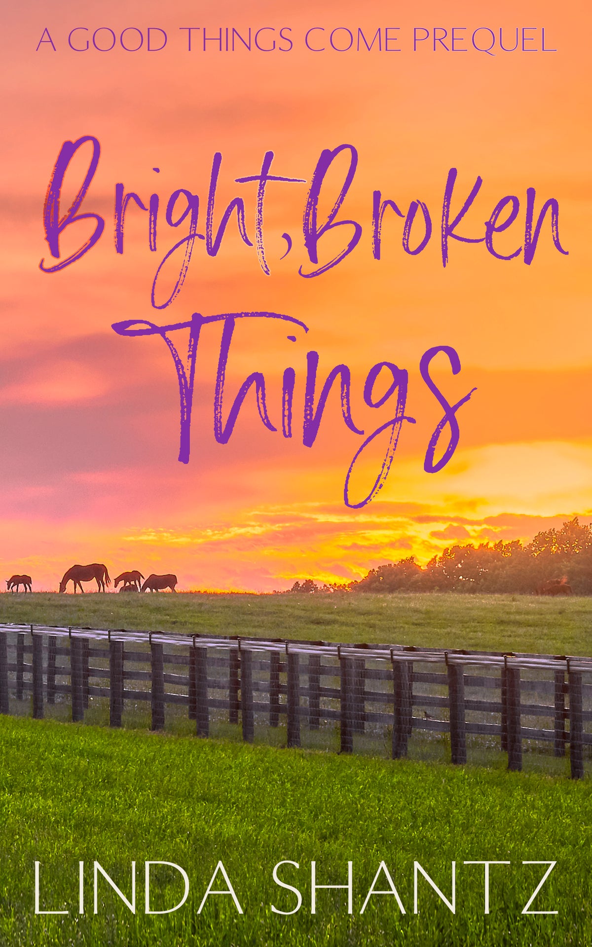 Bright, Broken Things (A Good Things Come Prequel) – e-book