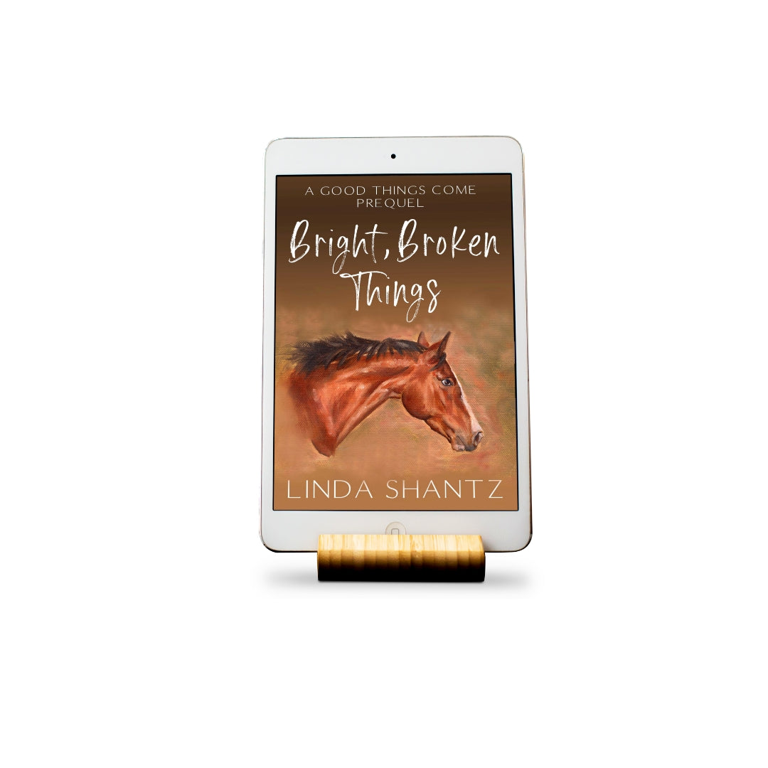Bright, Broken Things (A Good Things Come Prequel) – e-book