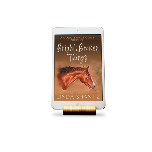 Bright, Broken Things (A Good Things Come Prequel) – e-book