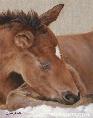 "Big Dreams," 14 x 11" original oil painting