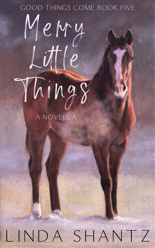 Merry Little Things (Good Things Come Book 5) e-book