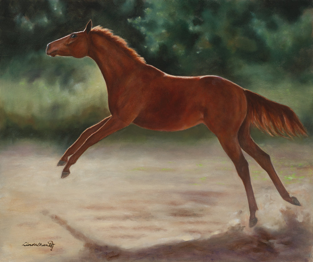 "Soar," original oil on canvas