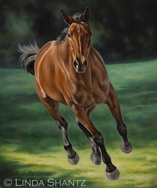 "Emerging," 24 x 20 oil on canvas