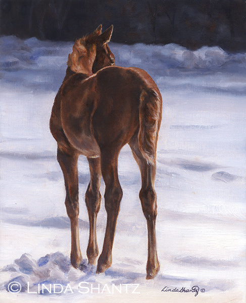 "Gracie Knows" framed 10 x 8 oil on linen